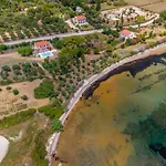 فيلة Ostria *