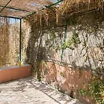 Ostria فيلة *