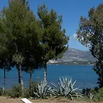 Ostria فيلة