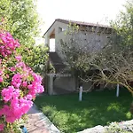 Ostria فيلة ليكسوري