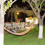 فيلة Ostria