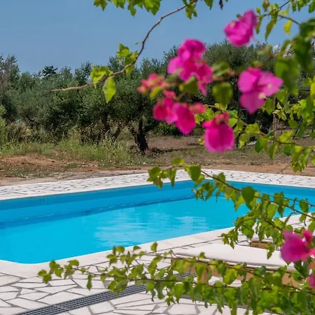 Ostria ליקסורי